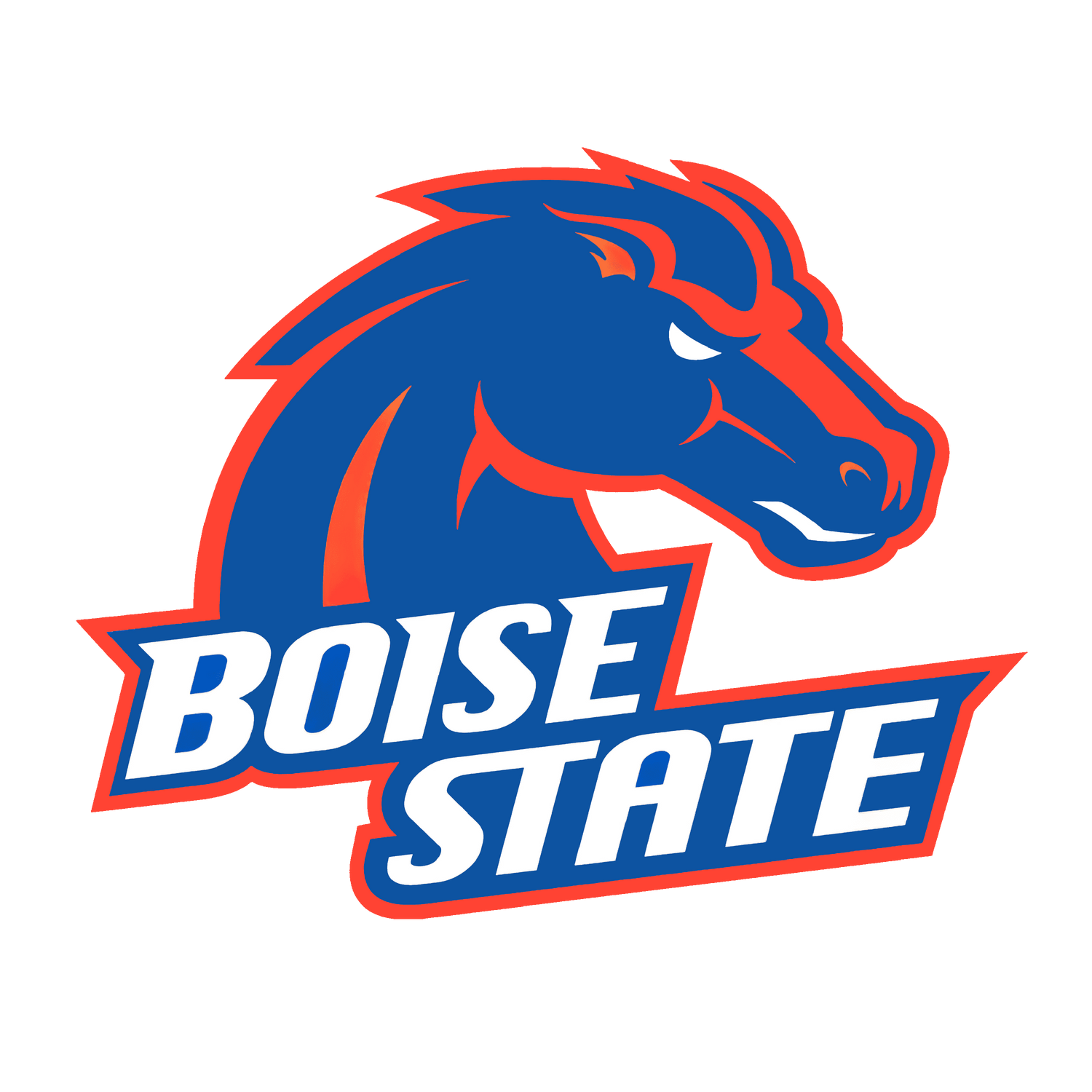 Boise State University