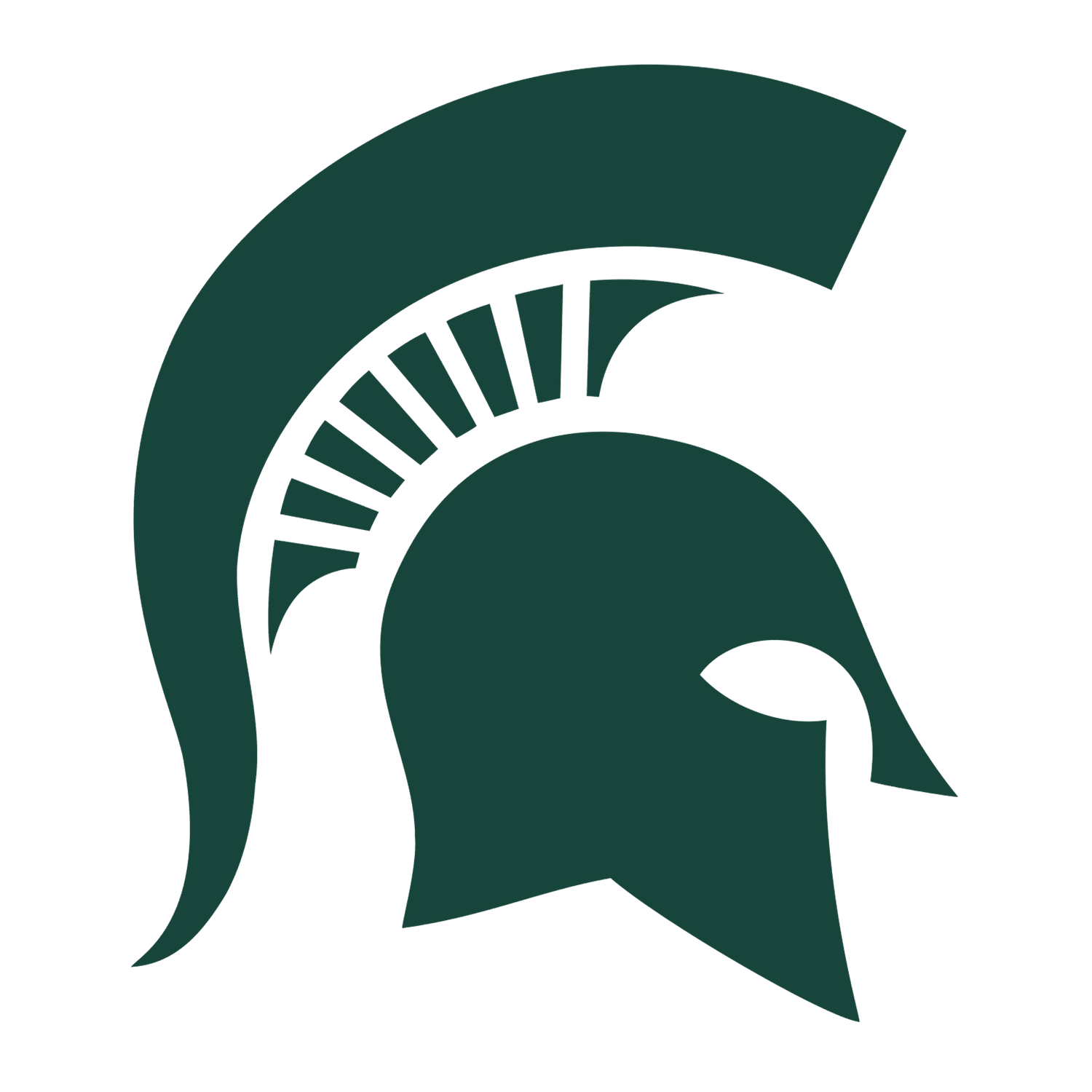 Michigan State University