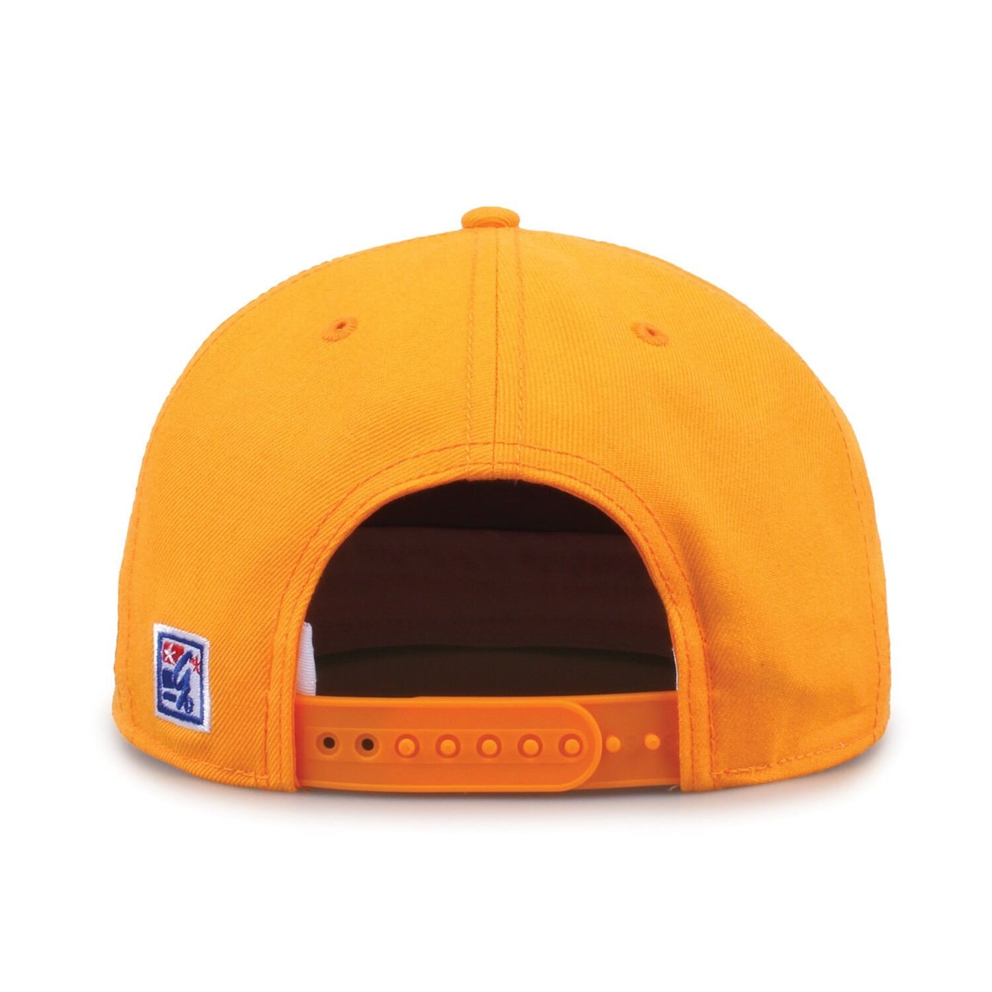 Tennessee Oversized Script Retro Circle Design
