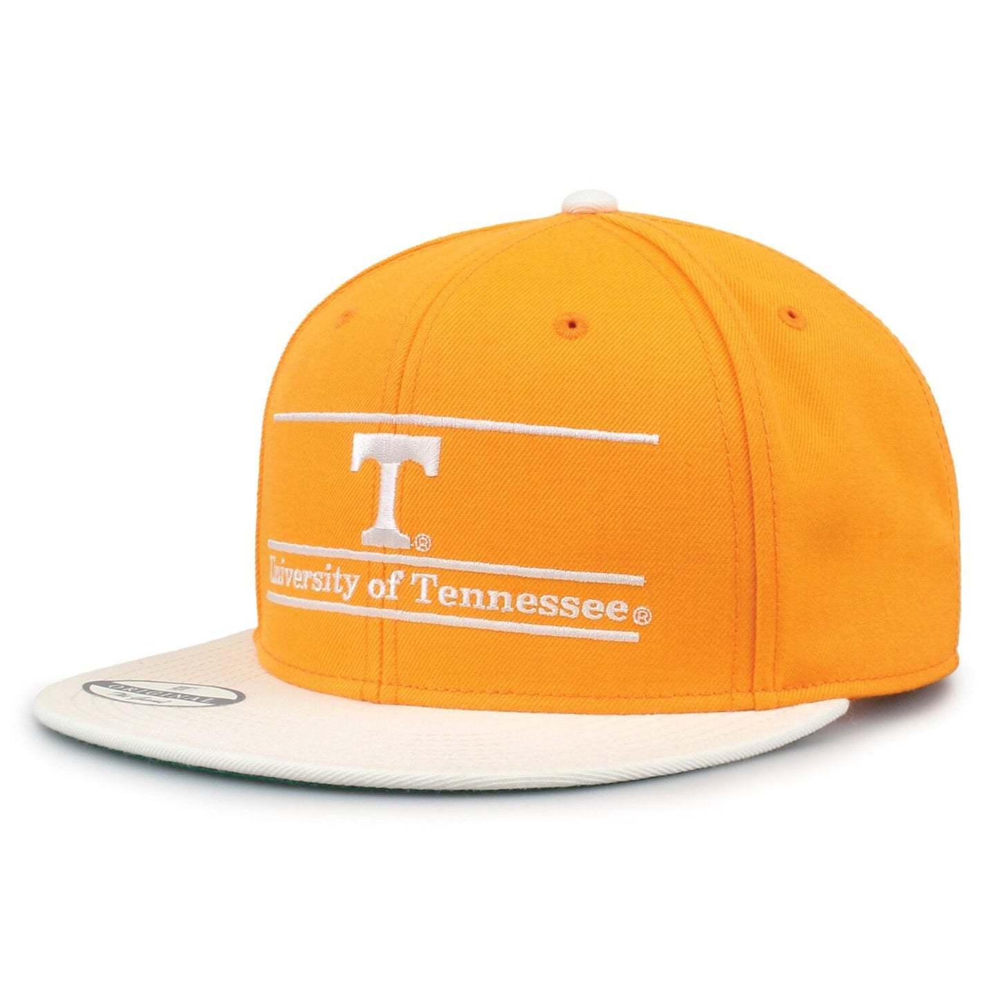 Tennessee 93 Til Snapback