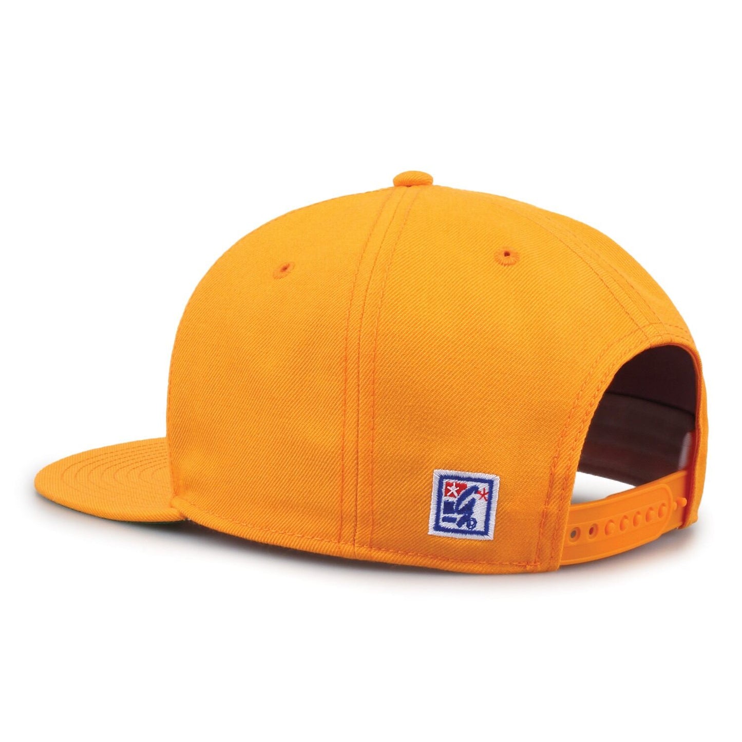 Tennessee Oversized Script Retro Circle Design
