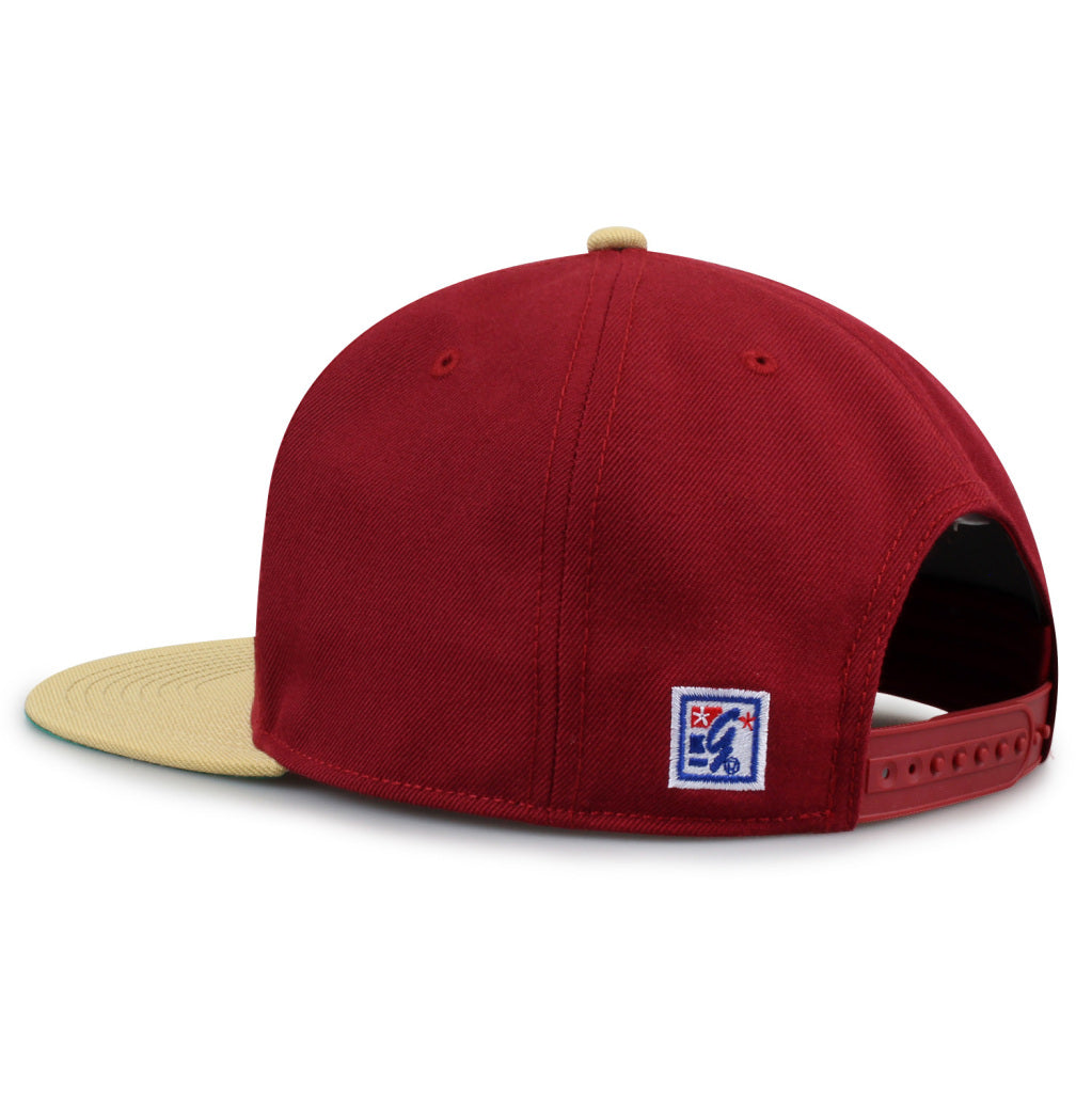 Florida State 93 Til Snapback