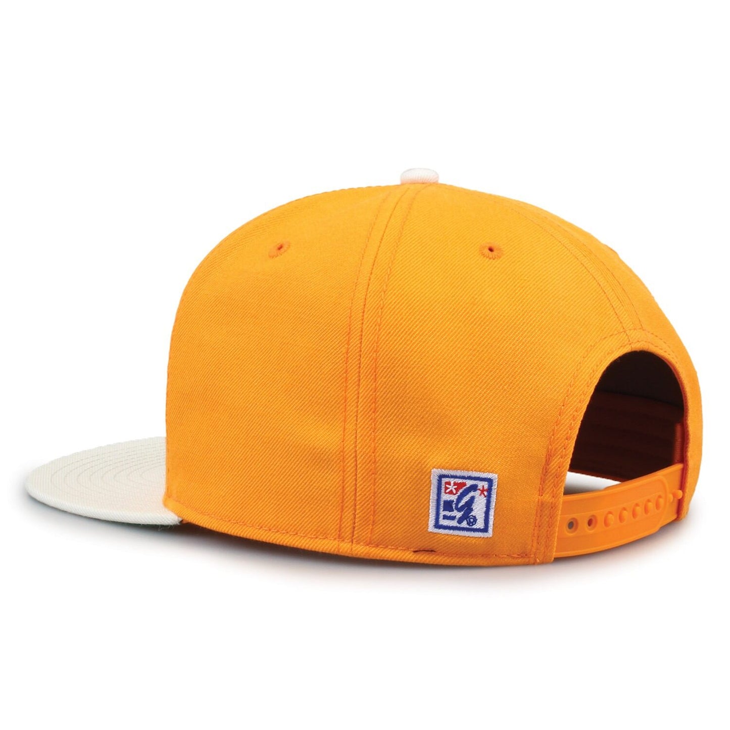 Tennessee 93 Til Snapback