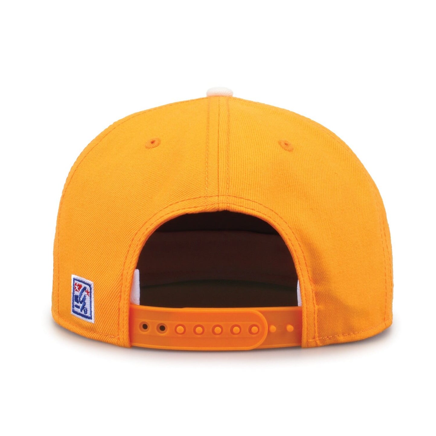 Tennessee 93 Til Snapback