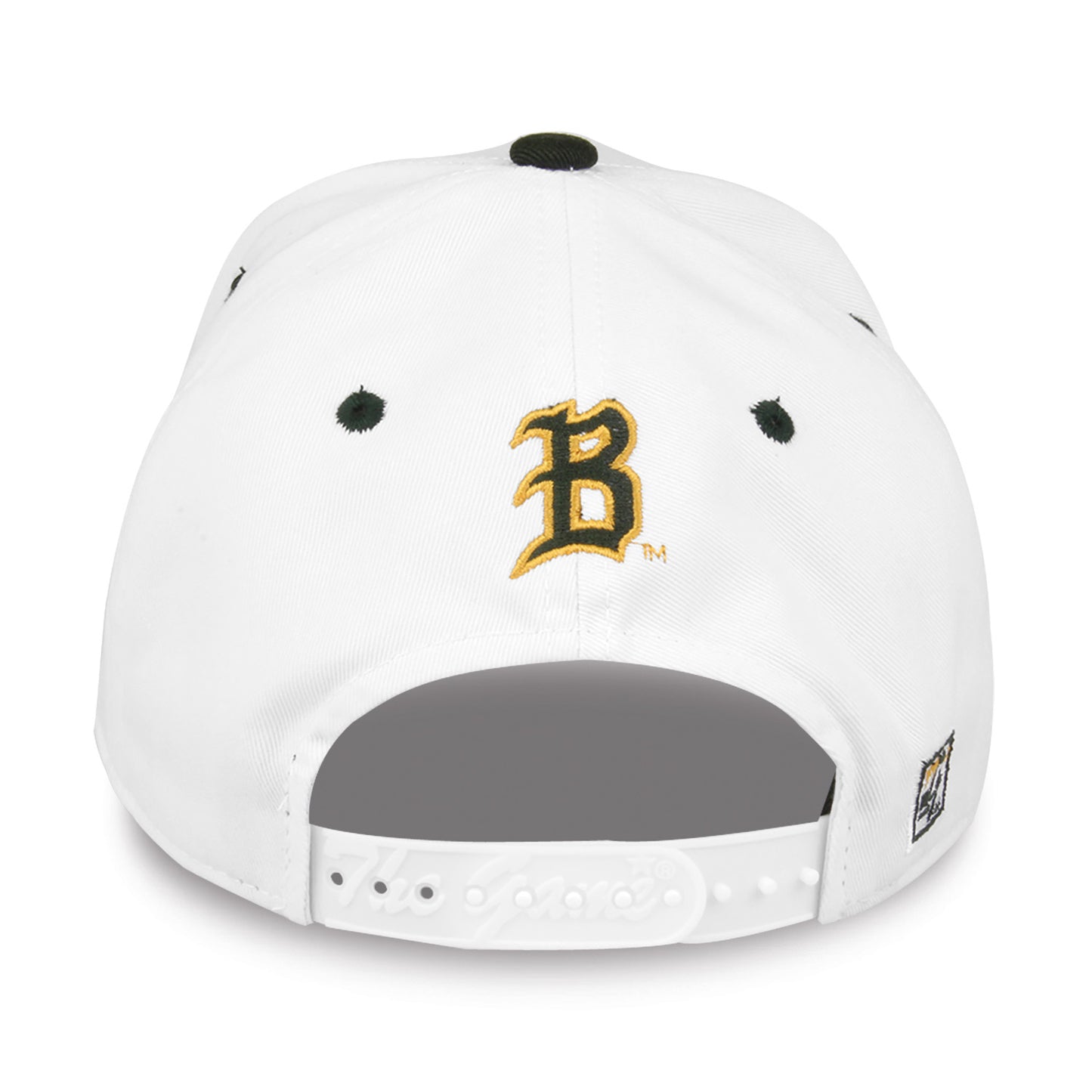 Alabama-Birmingham Bookstore Snapback