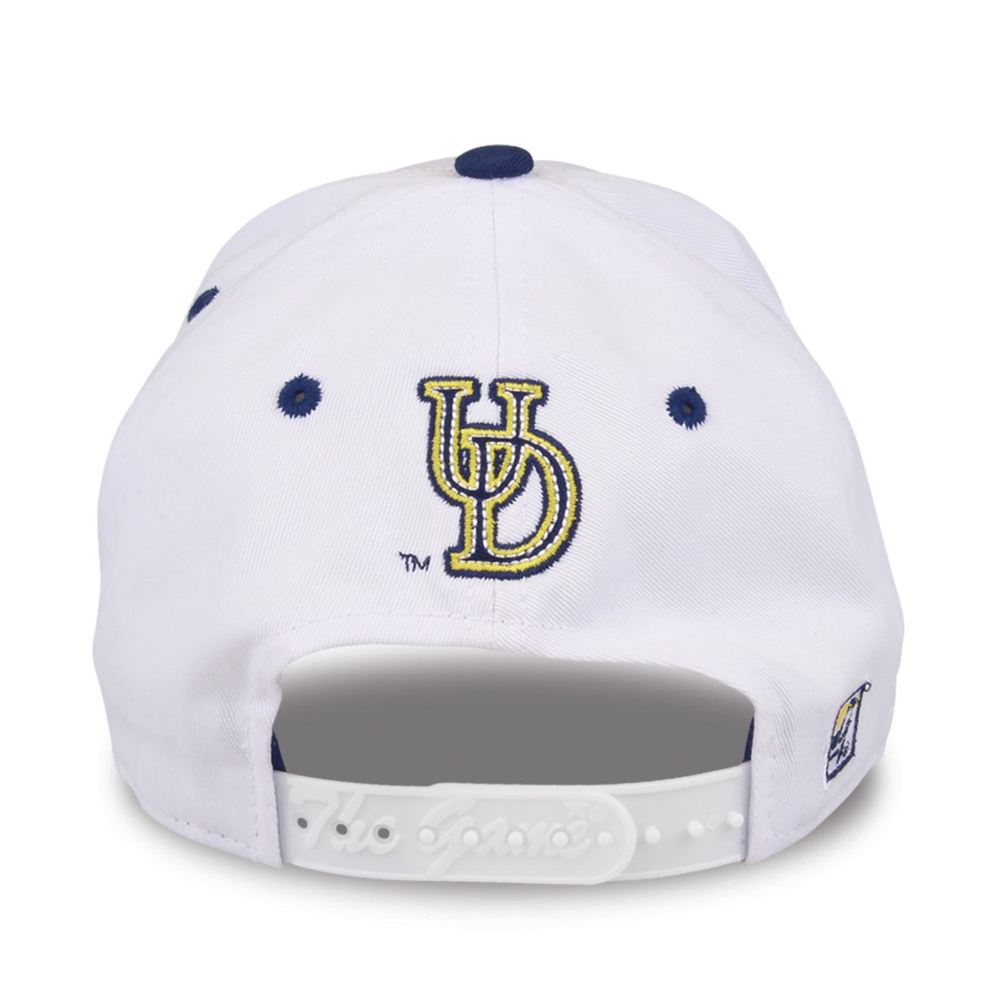 Delaware Bookstore Snapback