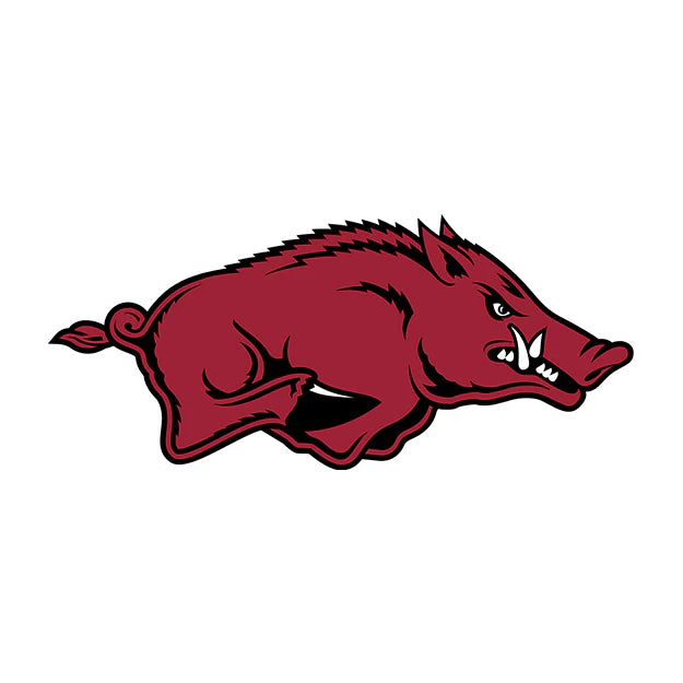 University Of Arkansas