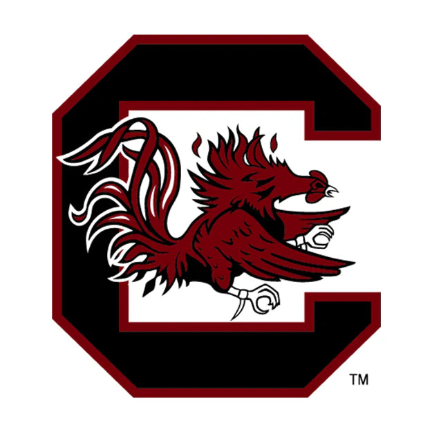 University Of South Carolina