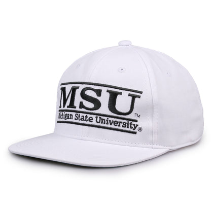 Michigan State hat