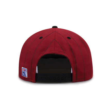 South Carolina '90 Pin Snapback