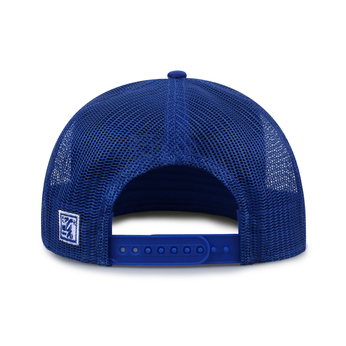 United States Air Force Academy Class of '92 trucker hat, rear view of mesh back and adjustable snapback closure