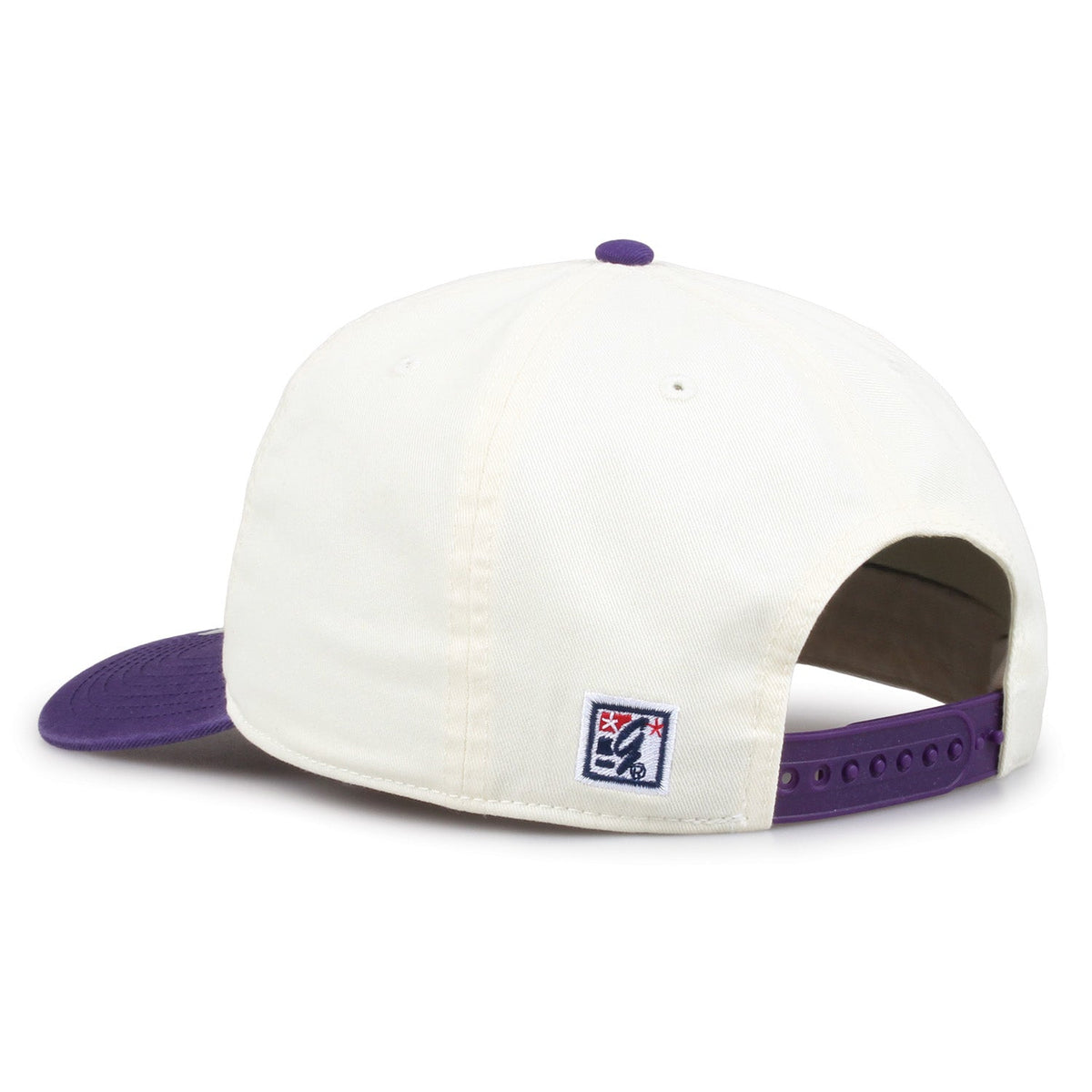 Washington Huskies Original Circle Snapback, rear view