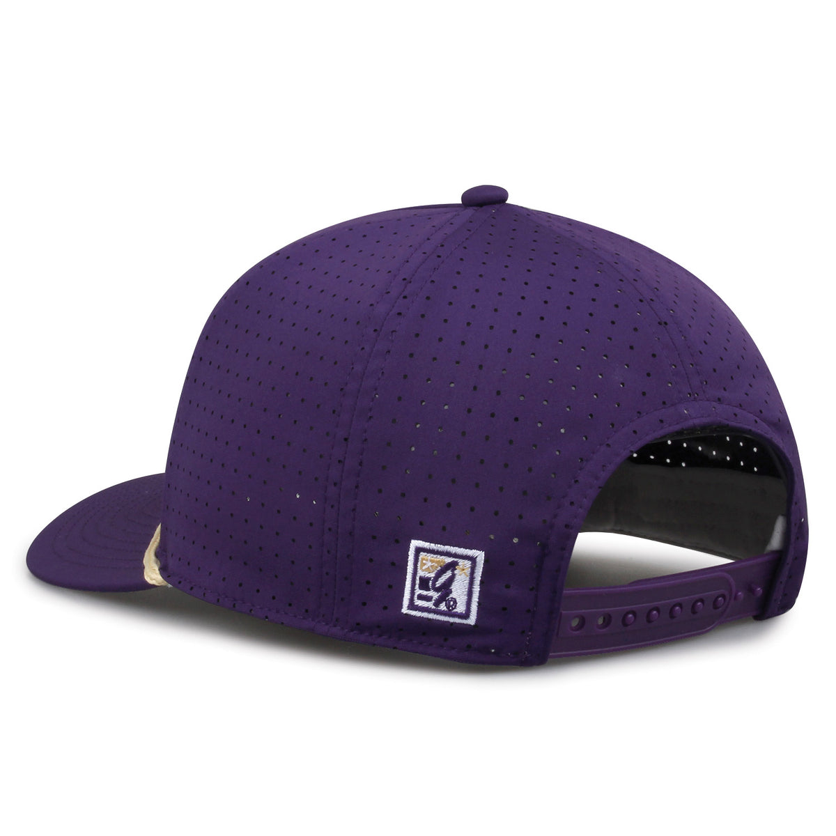 Washington Mesh Snapback