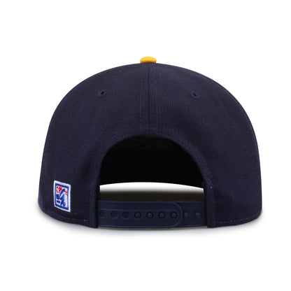 Michigan '93 Til Snapback
