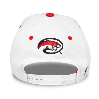 Houston Hat 'COUGARS' Bar Design